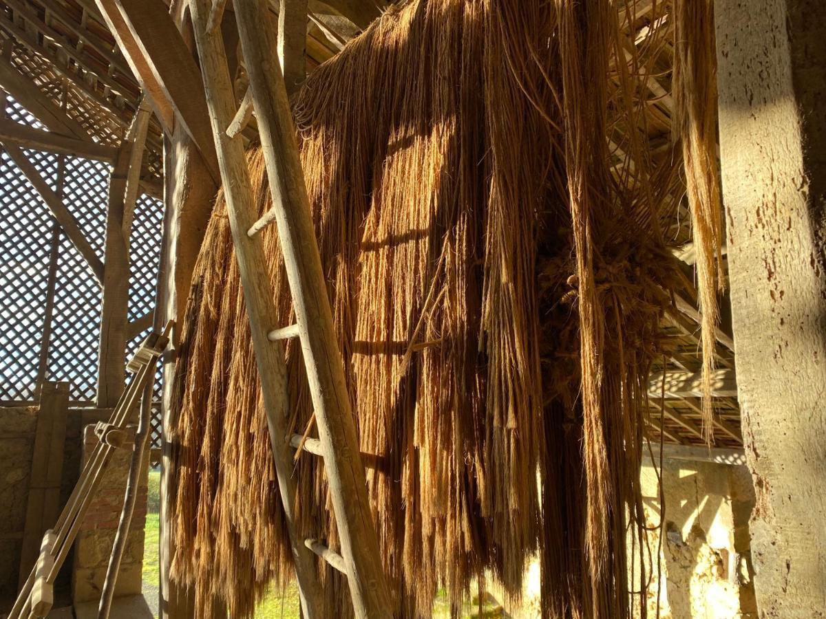 La Maison De Manon Mirande  Ngoại thất bức ảnh